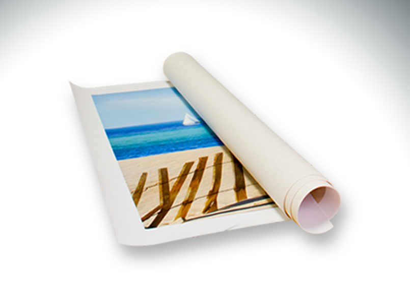 Back Drop – Large Tube